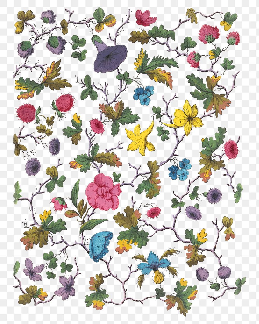 Flower png vintage illustration, transparent background. Remixed by rawpixel. 