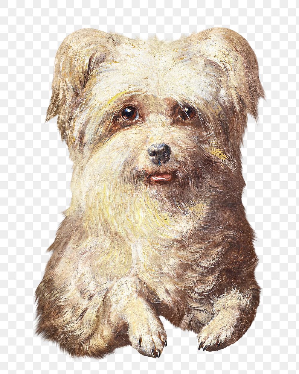 PNG Griffon Bruxelloi dog painting art, transparent background. Remixed by rawpixel. 