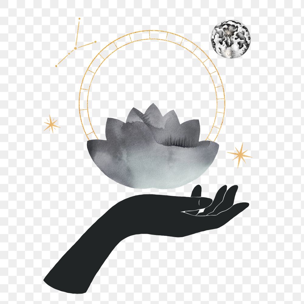 Png Water lily illustration, spiritual remix, transparent background