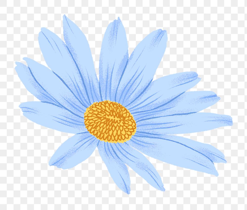 Blue flower png, aesthetic illustration, transparent background