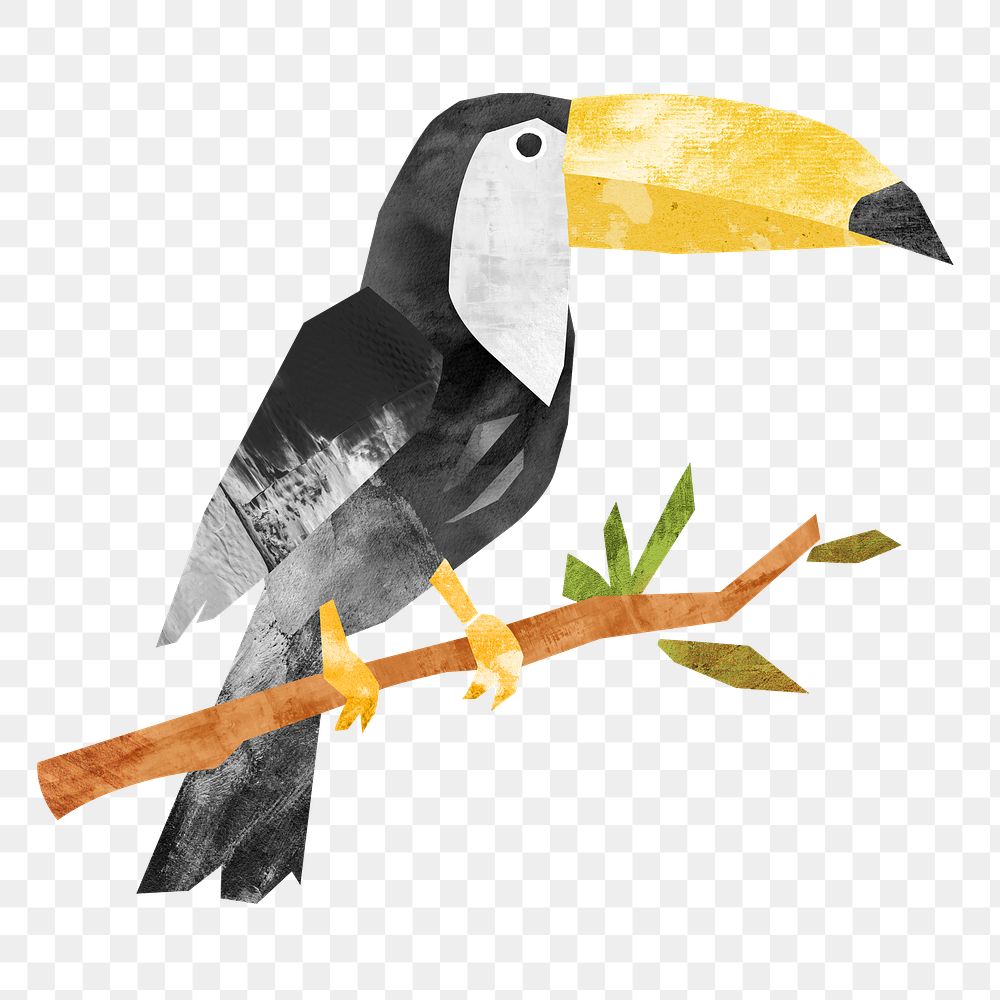 PNG Toucan bird, animal paper craft, transparent background