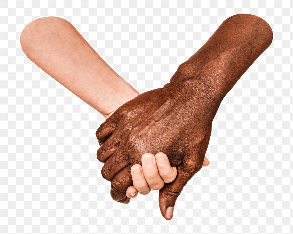 PNG Diverse hands holding each other, collage element, transparent background.