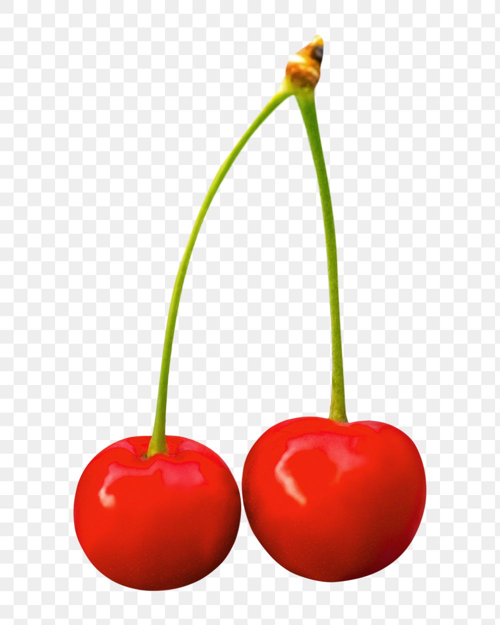 Red cherry png, transparent background