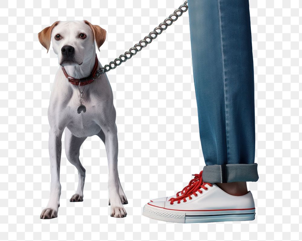 Footwear mammal animal leash.  PNG with transparent background.