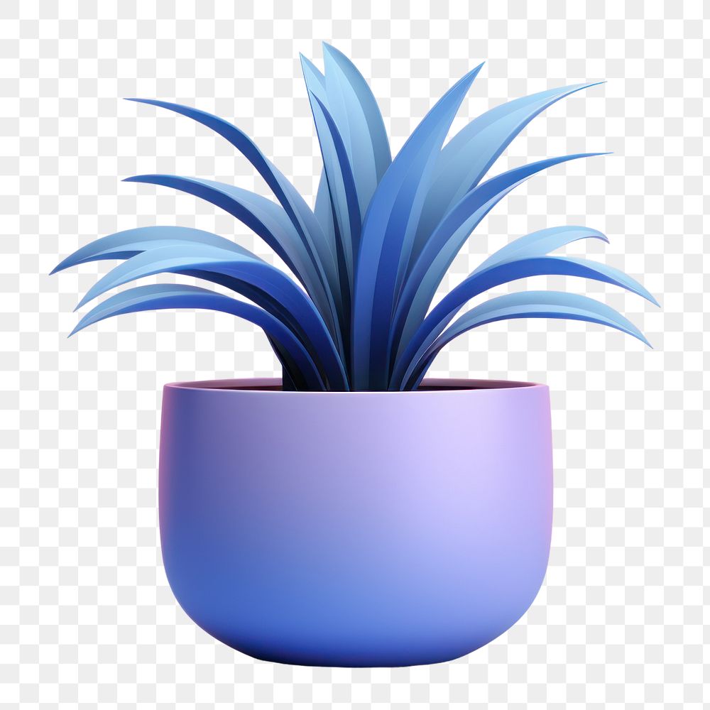 Plant vase bromeliaceae houseplant.  PNG with transparent background.