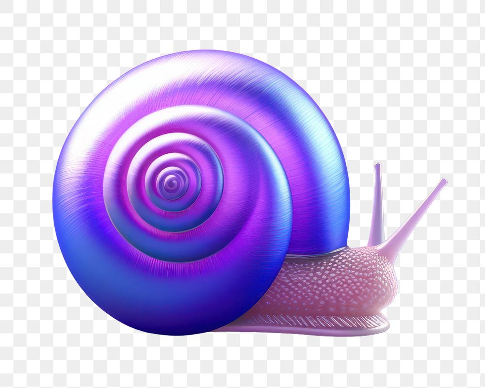 Animal snail invertebrate gastropod.  PNG with transparent background.