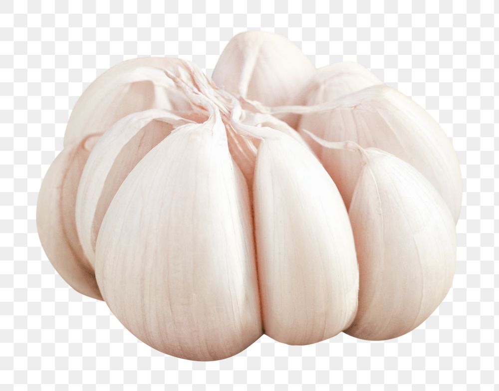 Garlic bulb png, healthy food, transparent background