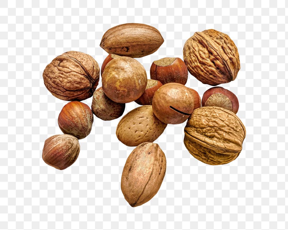 Png walnuts, hazelnuts, and macadamia nuts on transparent background