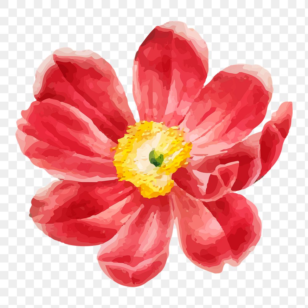 Red flower png illustration, transparent background