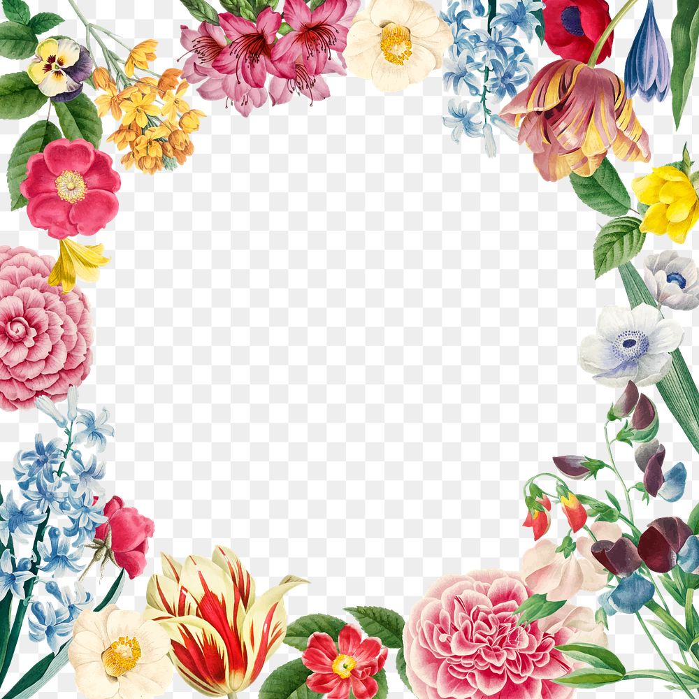 Floral frame png collage element, transparent background