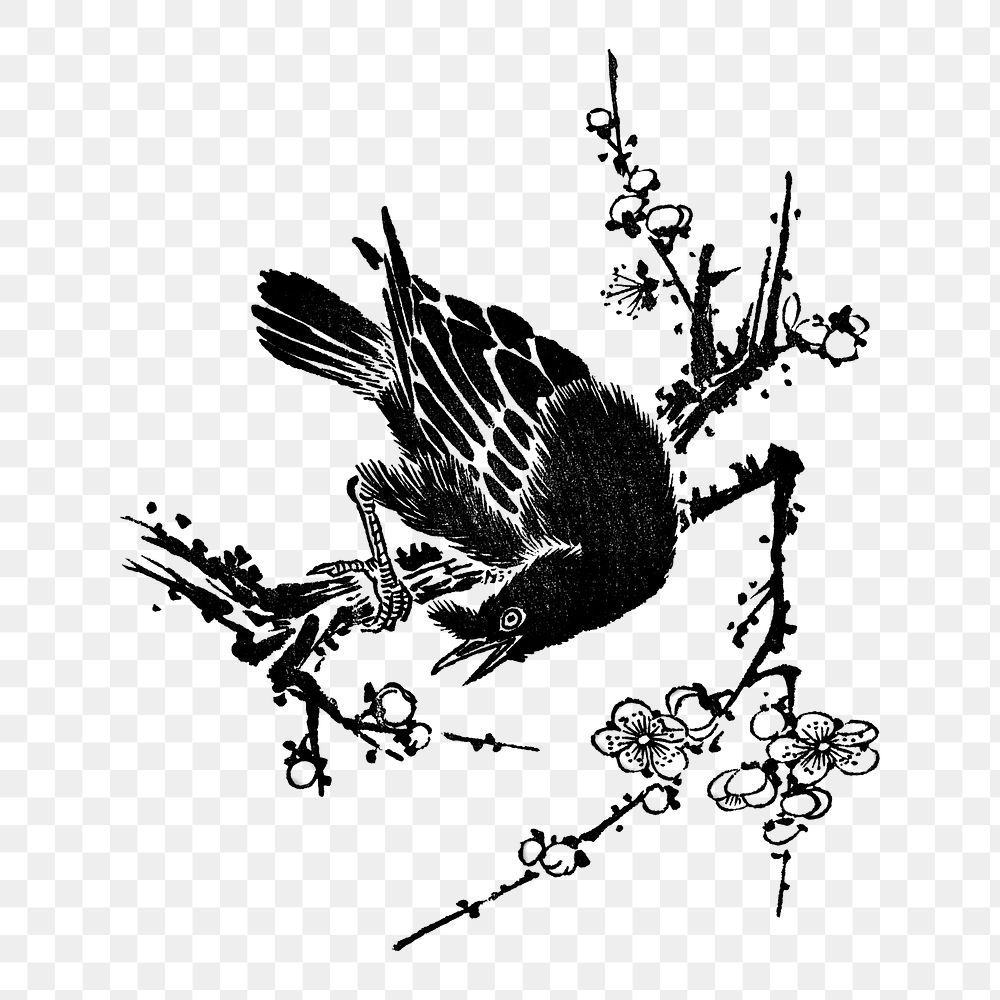 PNG Crow bird, vintage animal illustration. , transparent background. Remixed by rawpixel.