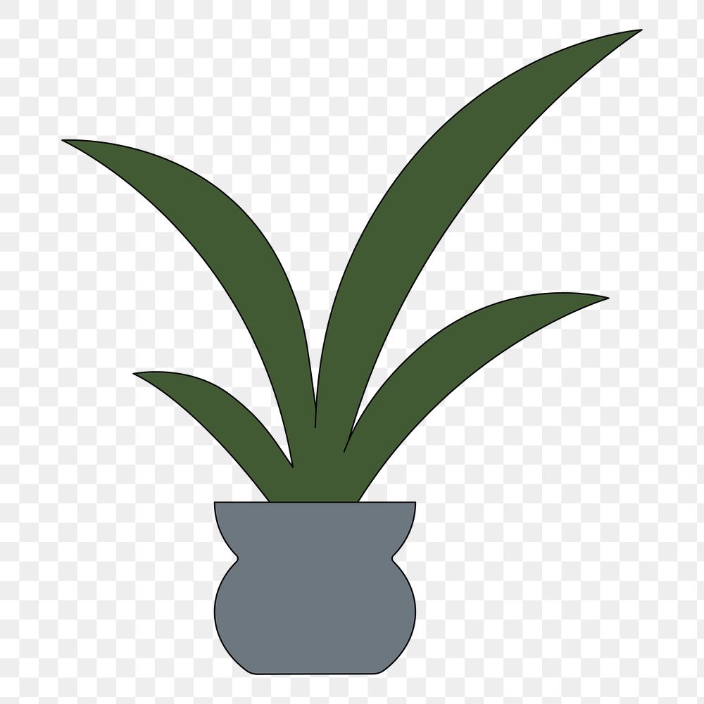 PNG Houseplant pot, flat illustration, transparent background