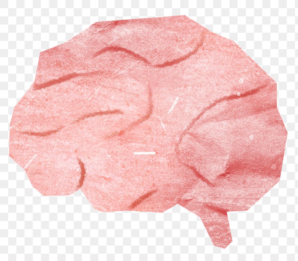 PNG Human brain, paper craft element, transparent background