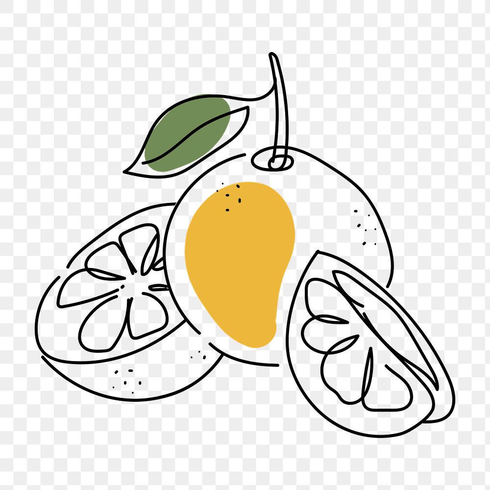 Citrus orange png, aesthetic illustration, transparent background