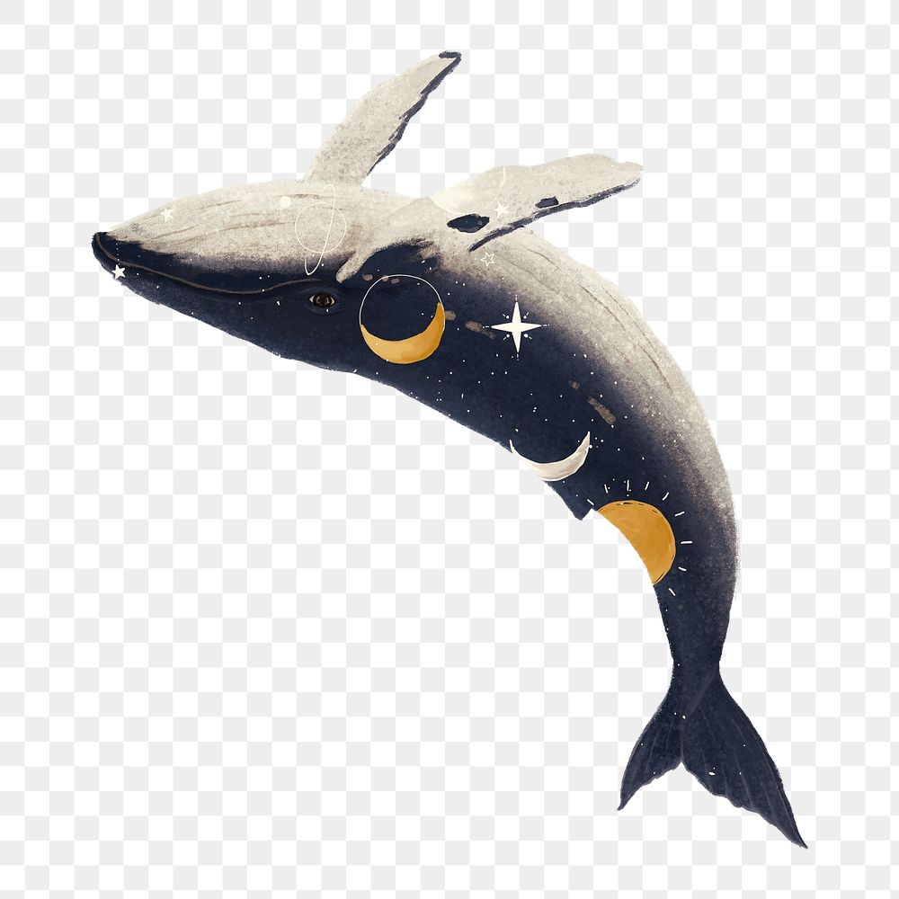 PNG Swimming whale, galaxy aesthetic