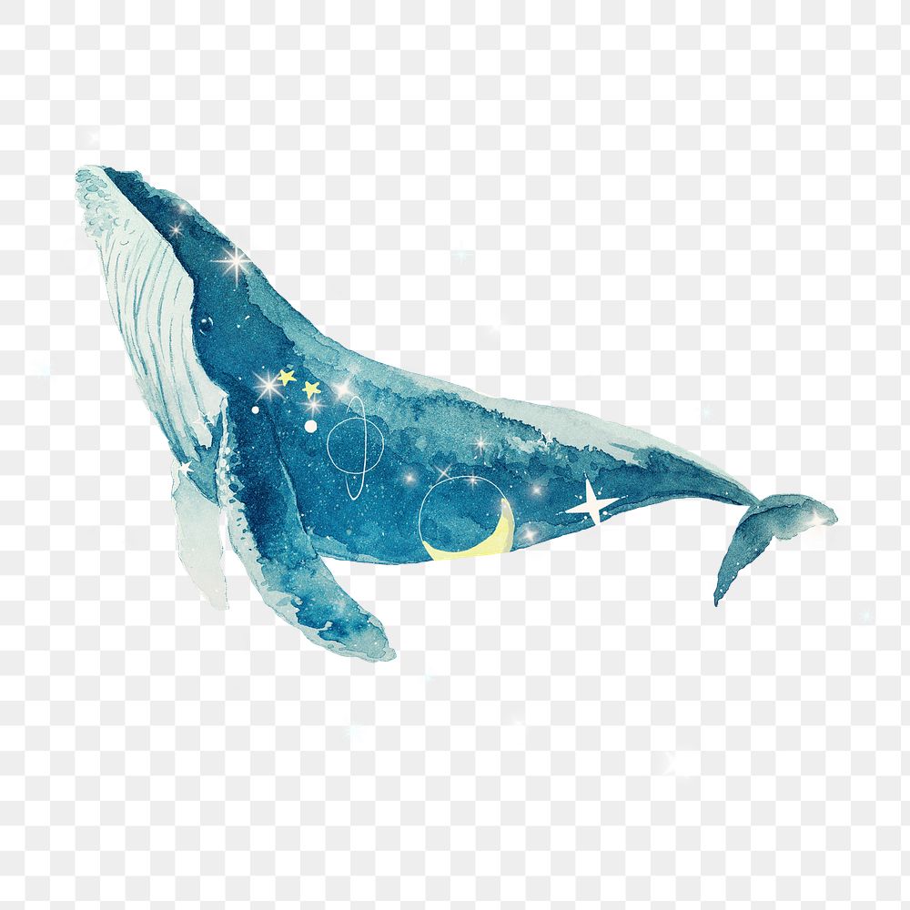 PNG Swimming whale, galaxy aesthetic remix, transparent background