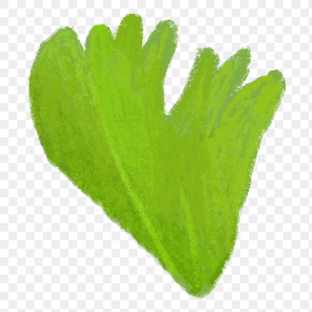 PNG Celery leaf, vegetable illustration, transparent background