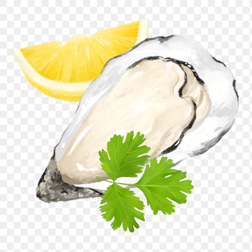 PNG Fresh oyster, seafood illustration, transparent background