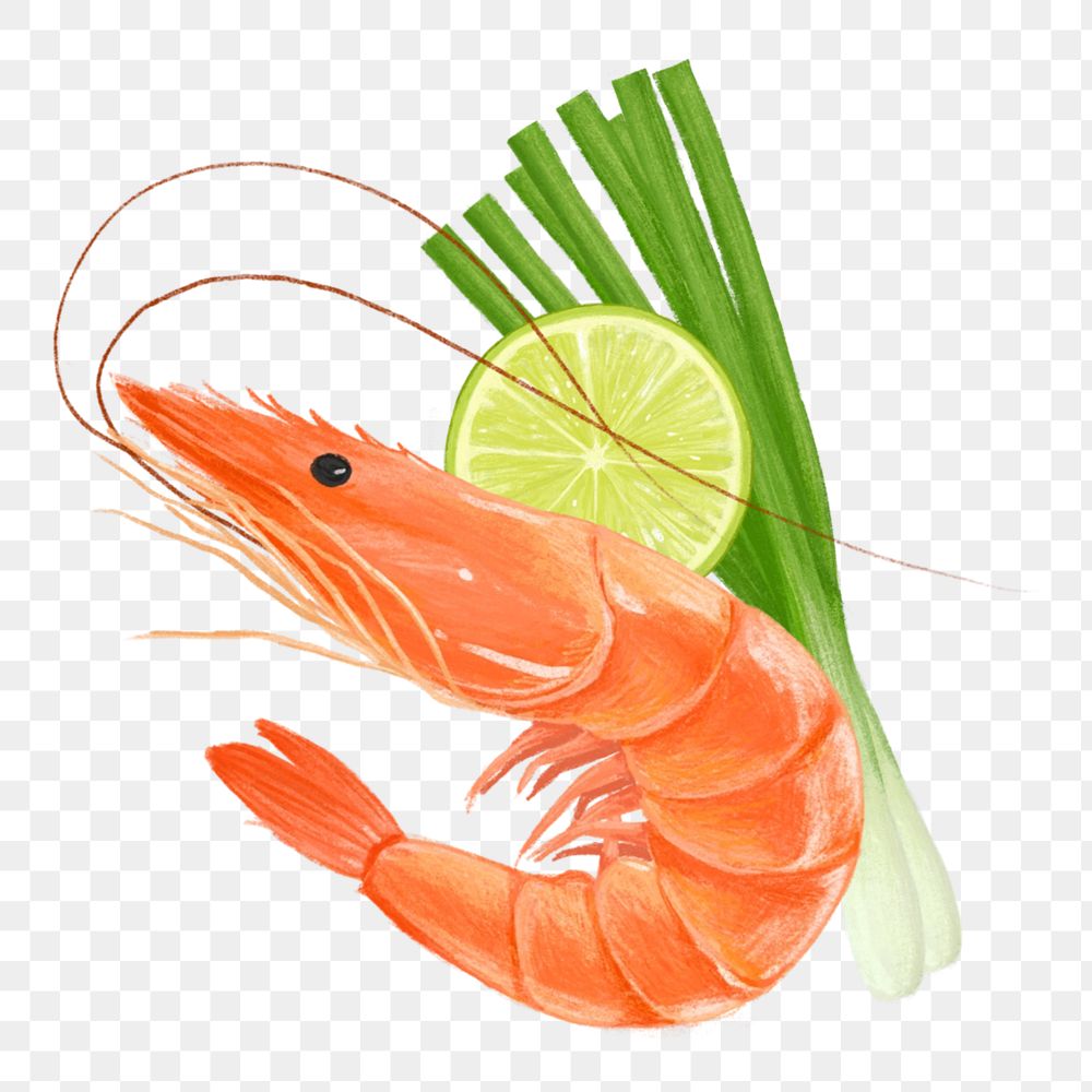 PNG Boiled shrimp, seafood & vegetable illustration, transparent background