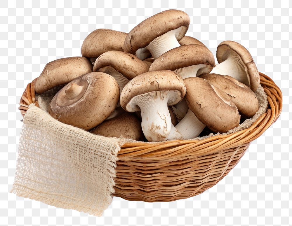 PNG Mushroom basket white background agaricaceae. AI generated Image by rawpixel.