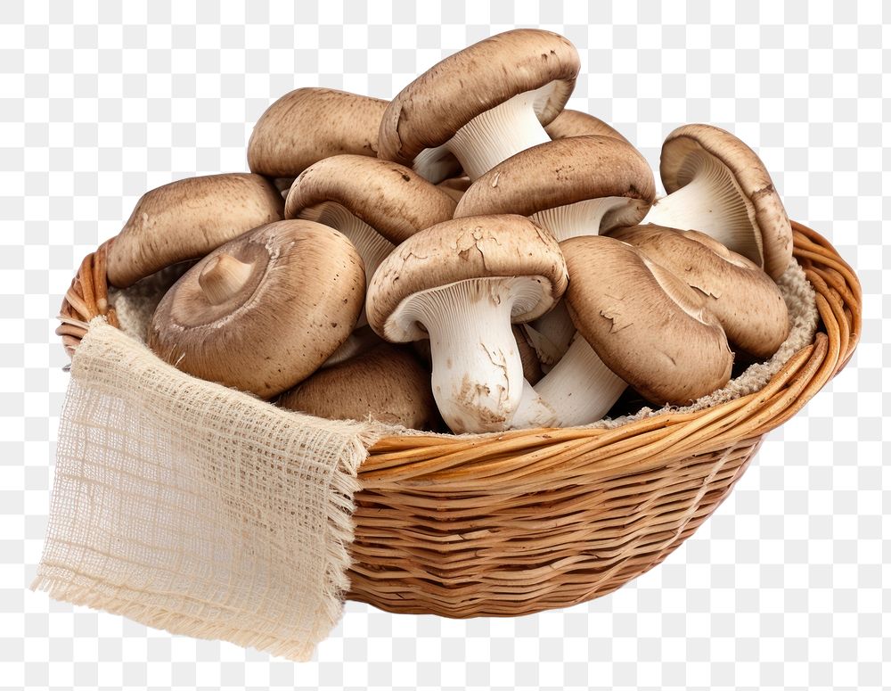 PNG Mushroom basket white background agaricaceae. 