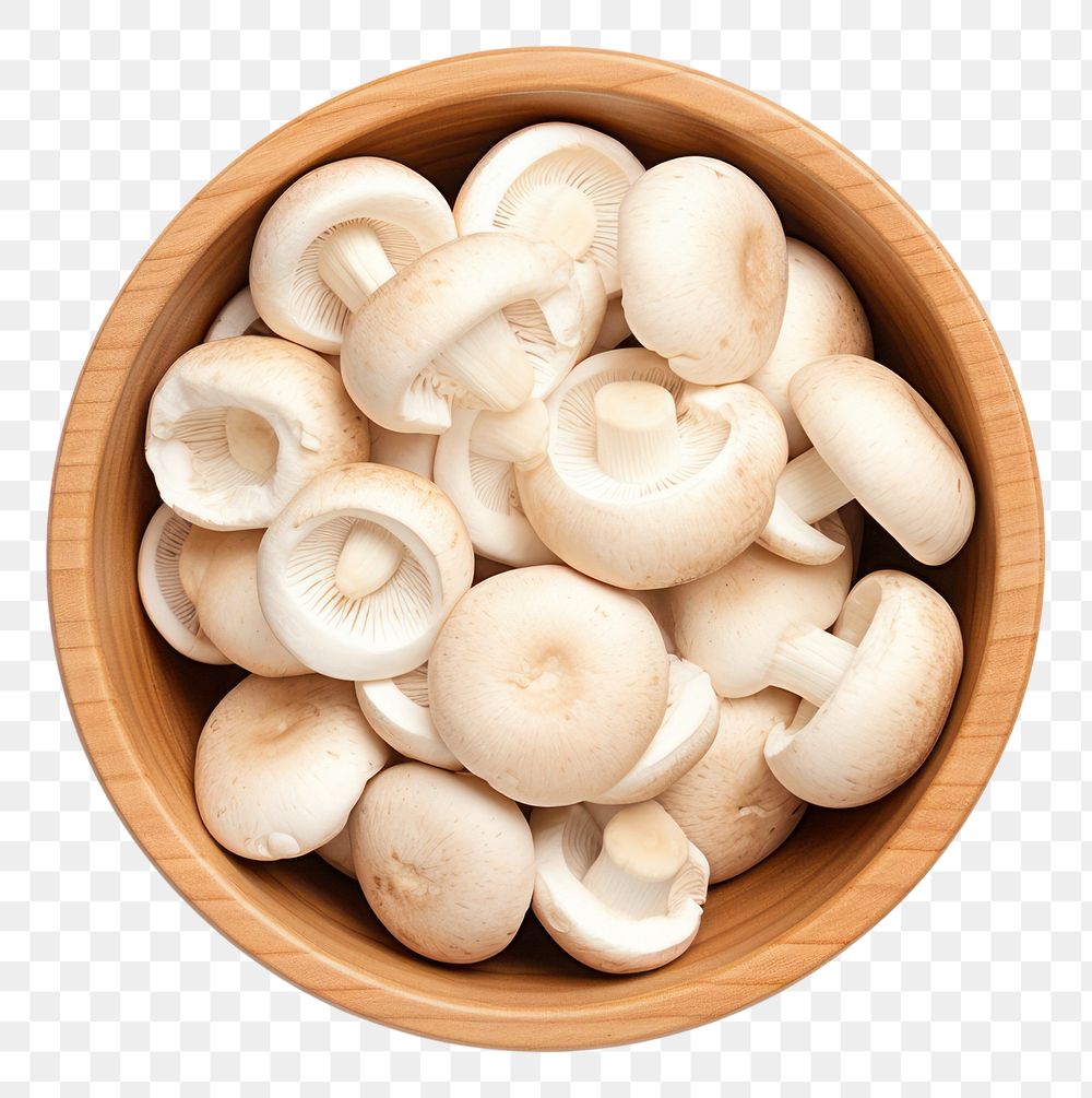 PNG Mushroom bowl white background xiaolongbao. 