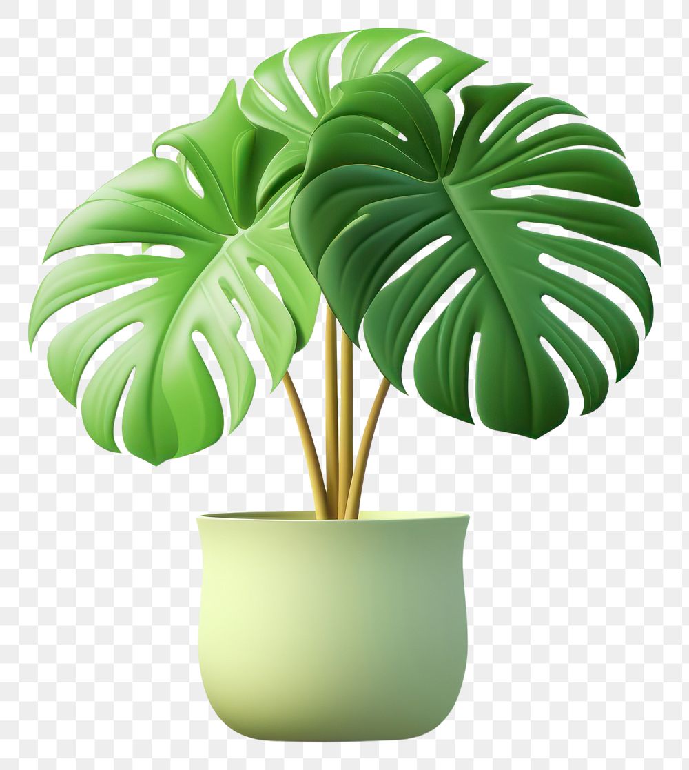 PNG Plant leaf green houseplant. AI generated Image by rawpixel.