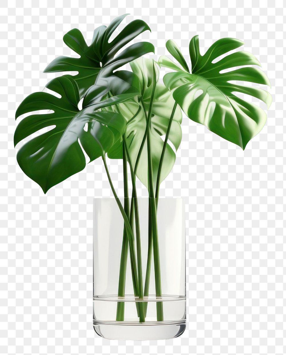 PNG Plant vase leaf flowerpot. 