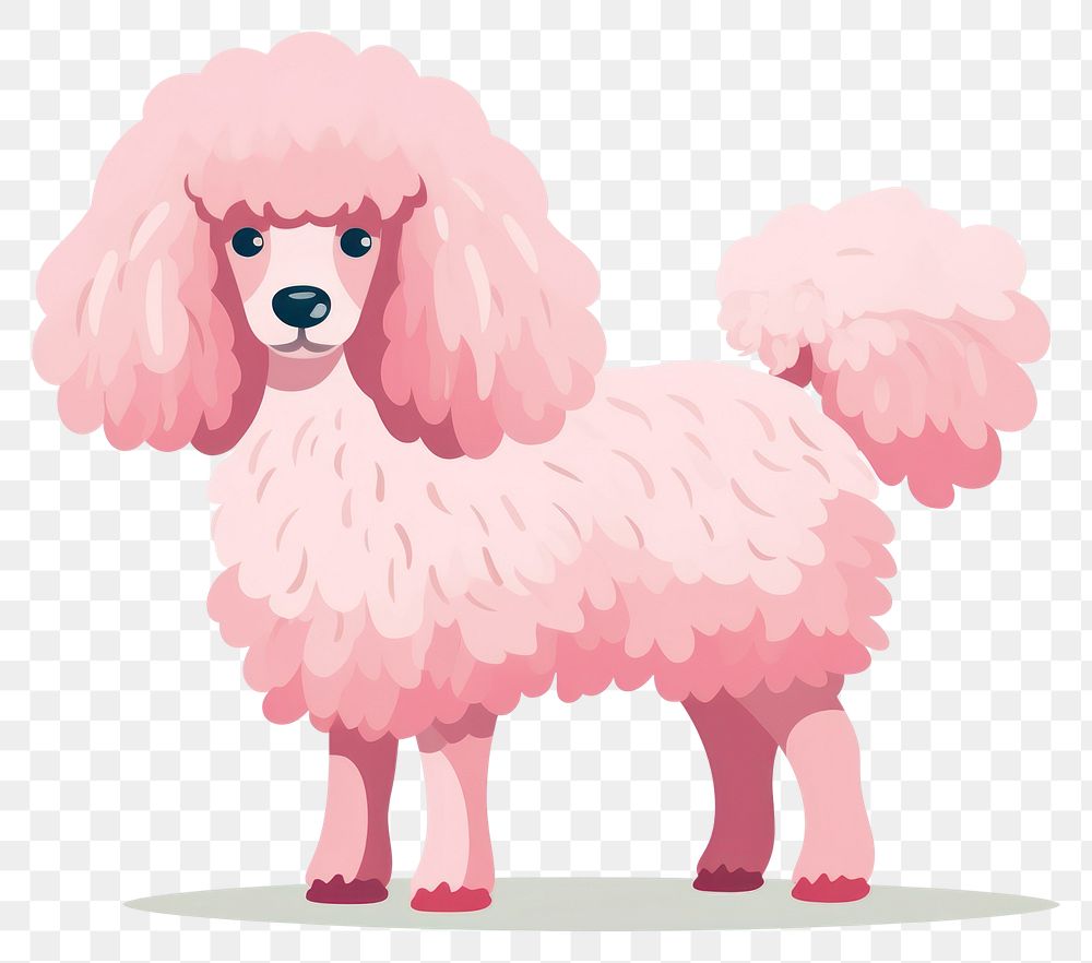 PNG Poodle animal mammal pet. 