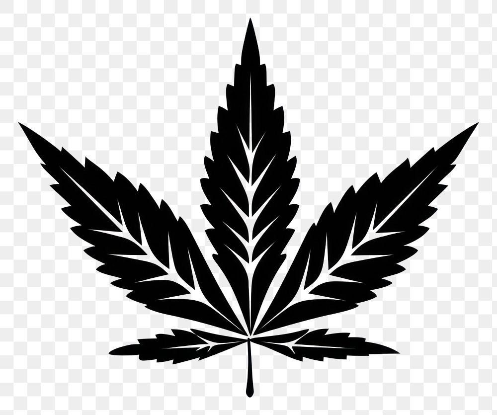 PNG Leaf cannabis plant black. AI generated Image by rawpixel.