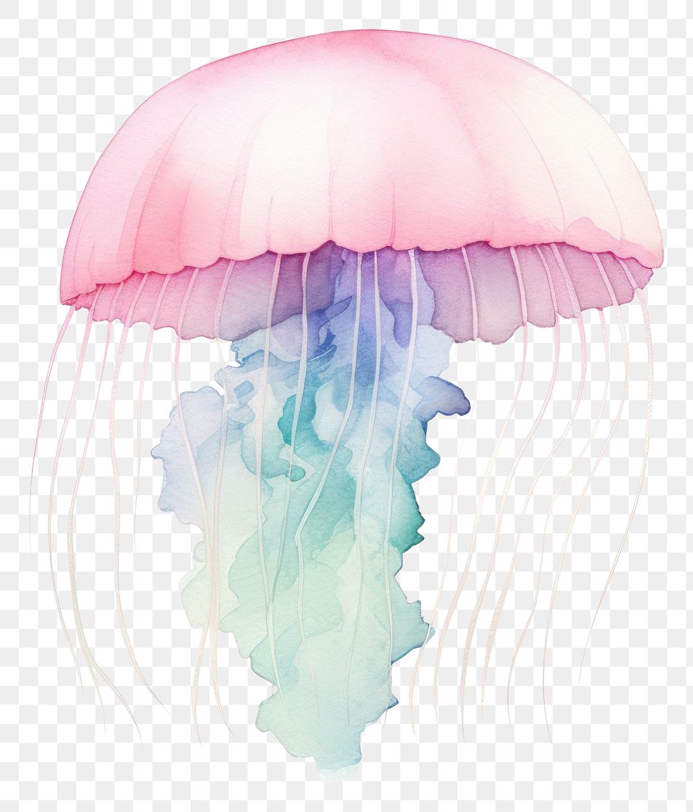 PNG Jellyfish white background invertebrate transparent. AI generated Image by rawpixel.