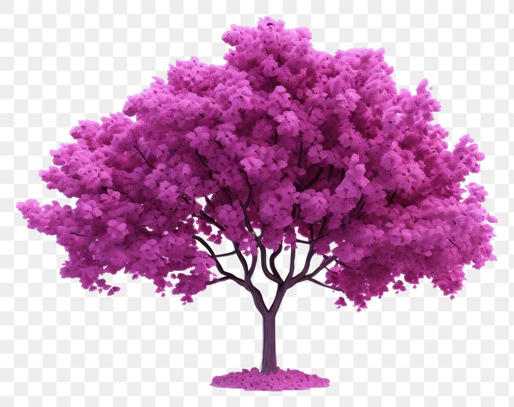 PNG Tree outdoors blossom nature. AI generated Image by rawpixel.