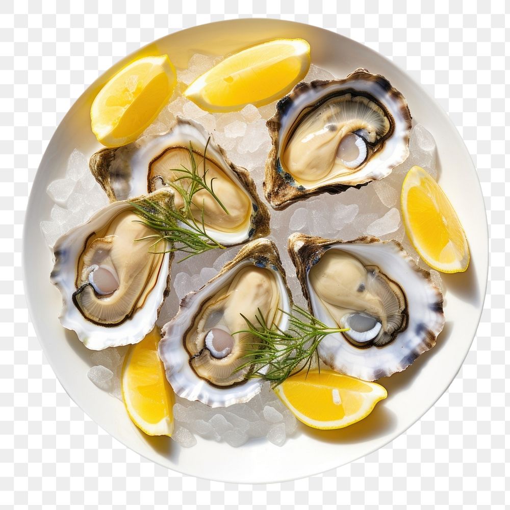 PNG Oyster plate seafood lemon. AI generated Image by rawpixel.