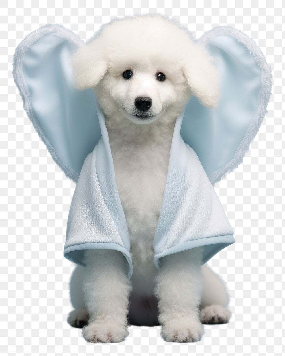 PNG  Puppy animal mammal poodle. AI generated Image by rawpixel.