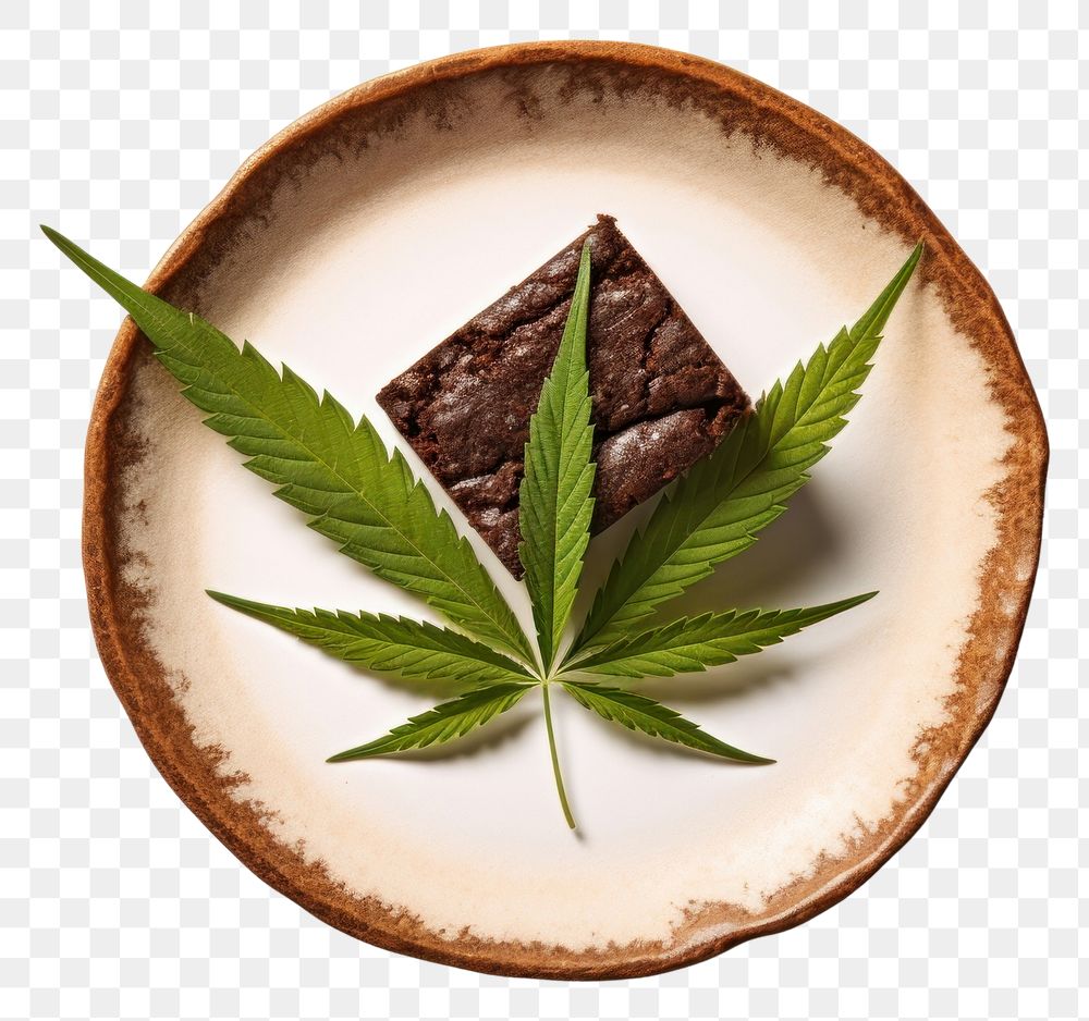 PNG Leaf cannabis plant plate. AI generated Image by rawpixel.