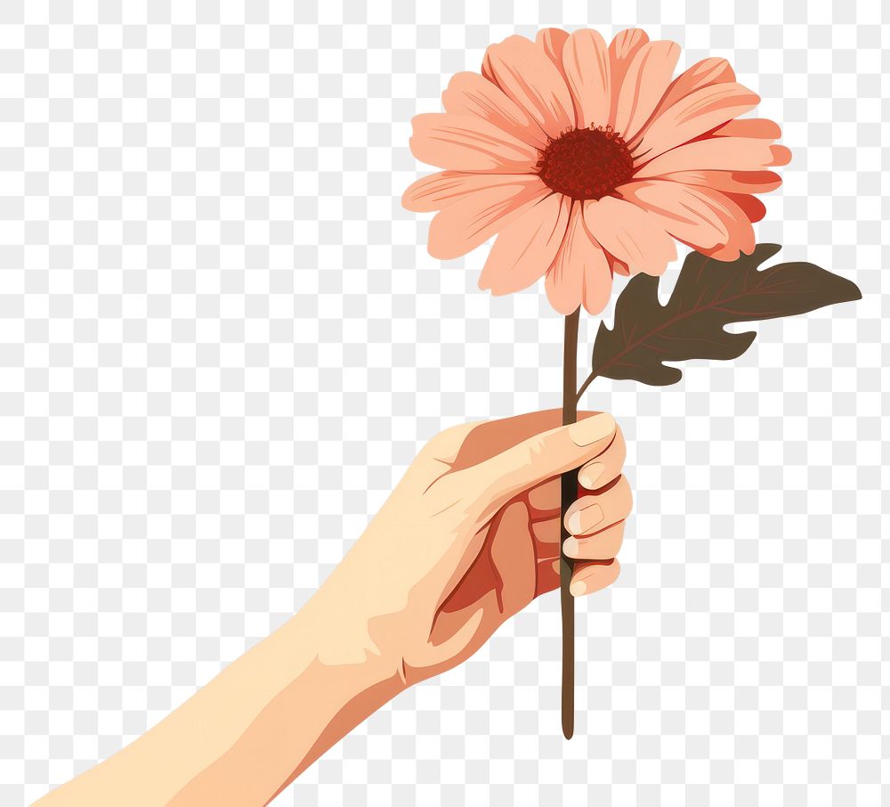 PNG Flower holding petal plant. AI generated Image by rawpixel.