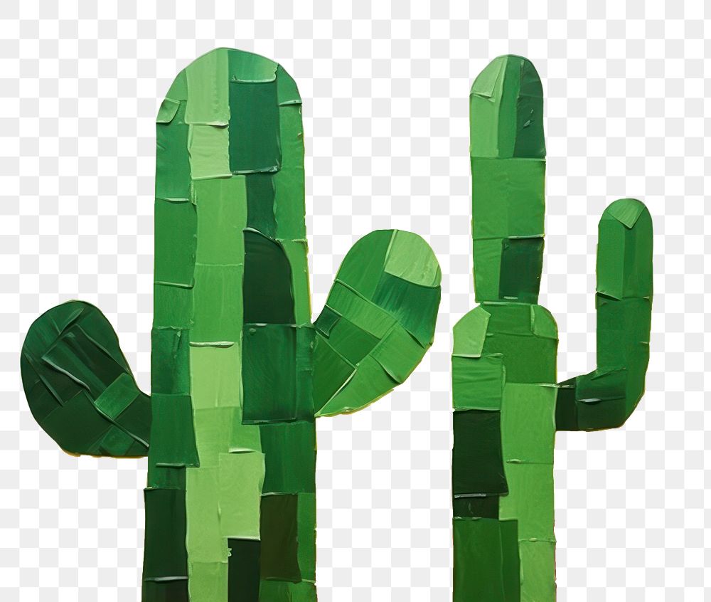 PNG Cactus plant backgrounds accessories. 