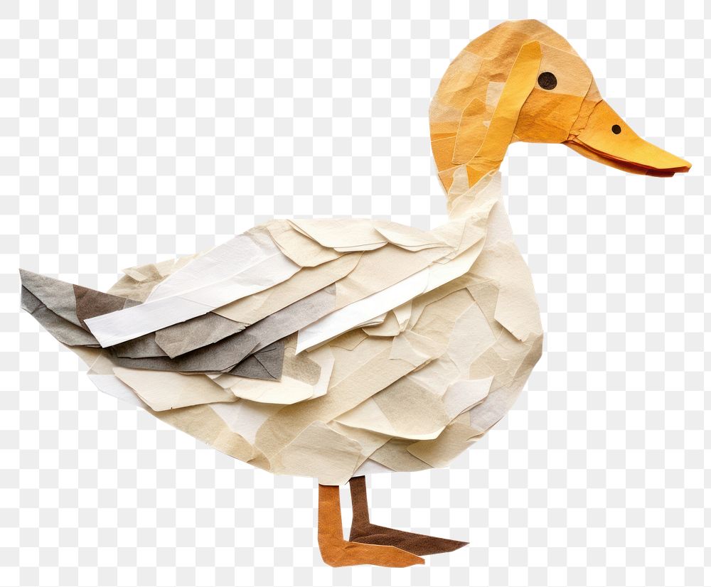 PNG Duck animal goose bird. AI generated Image by rawpixel.