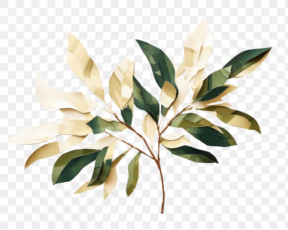 PNG Plant art leaf white background. 