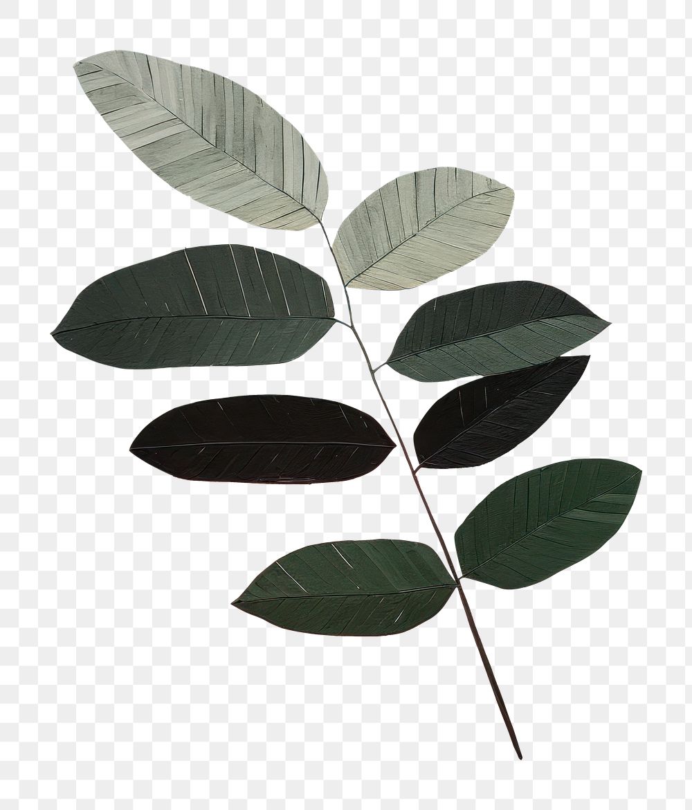 PNG Plant art painting leaf. 