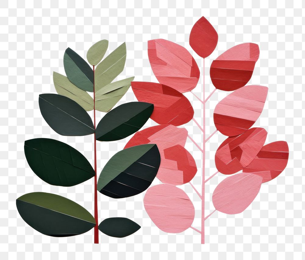 PNG Plant art paper leaf. AI generated Image by rawpixel.
