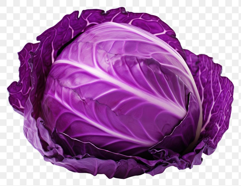 PNG Vegetable cabbage plant food. 