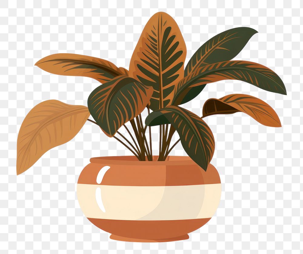 PNG Plant houseplant vase leaf. 