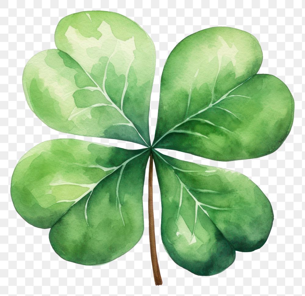 Four Leaf Clover Images  Free Photos, PNG Stickers, Wallpapers