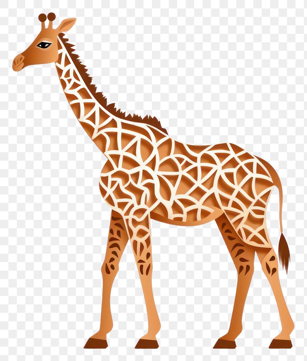 PNG Wildlife giraffe animal mammal. 