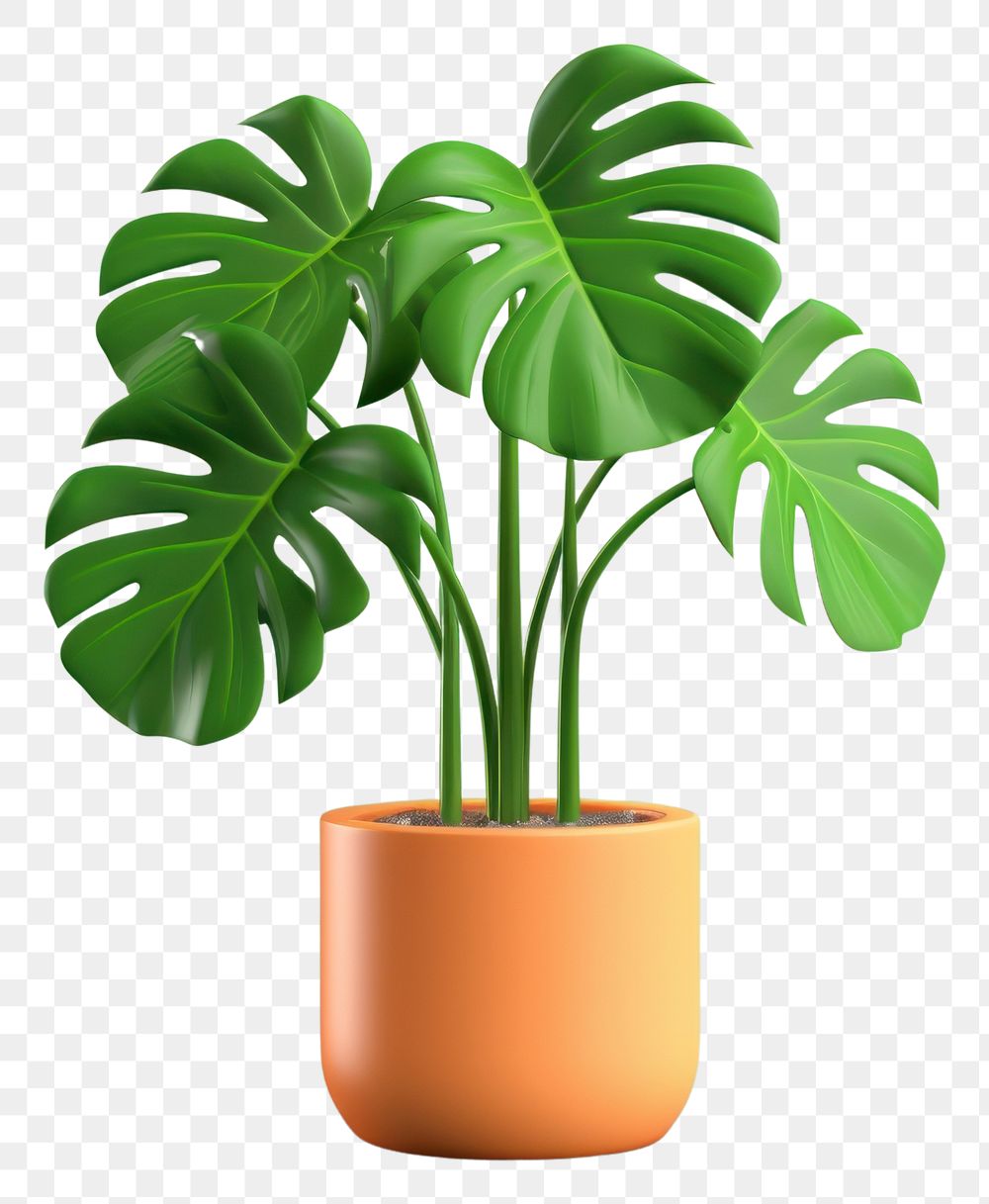 PNG Plant leaf tree houseplant. AI generated Image by rawpixel.