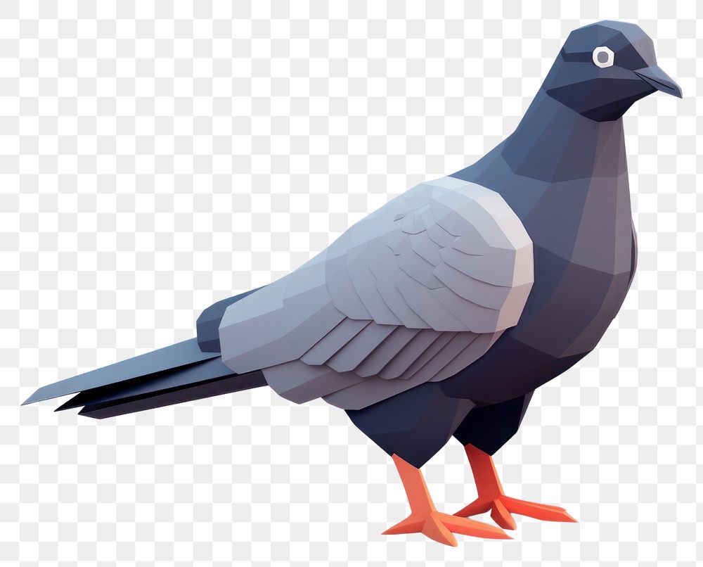 PNG Animal pigeon bird appliance. AI generated Image by rawpixel.