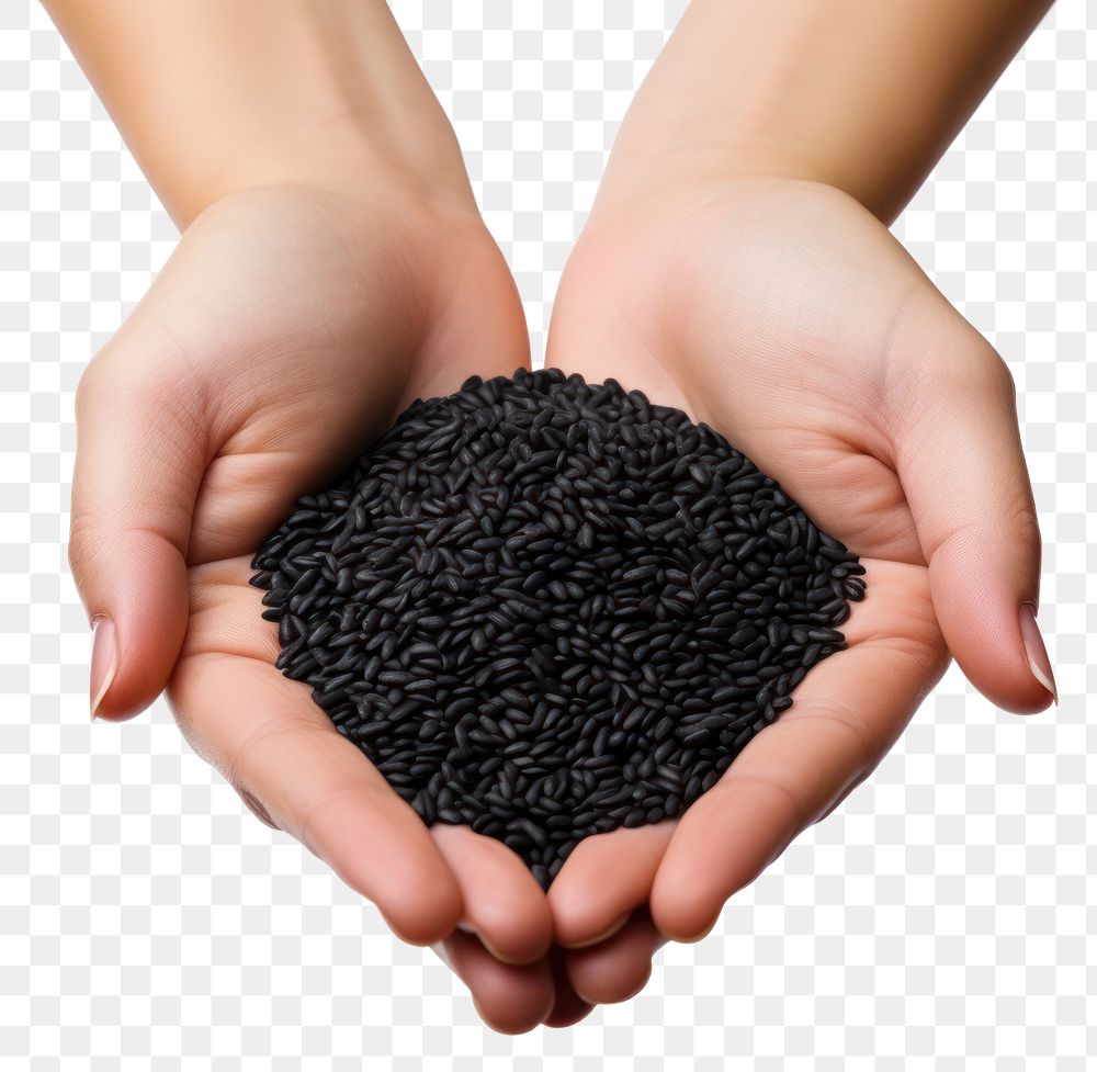 PNG Black hand seed food. AI generated Image by rawpixel.