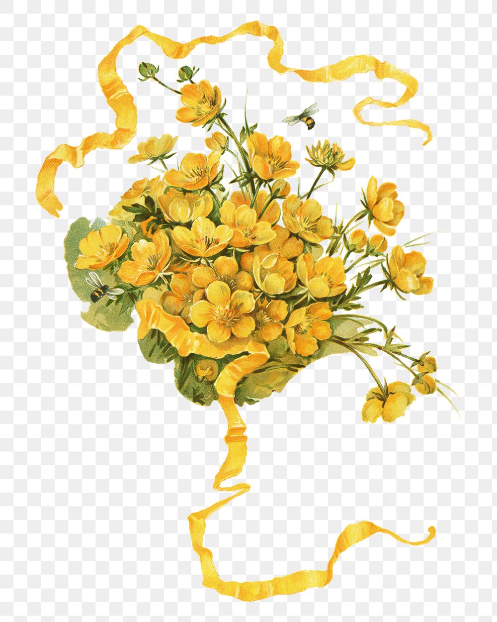 PNG Buttercups, vintage flower illustration by L. Prang & Co., transparent background. Remixed by rawpixel.