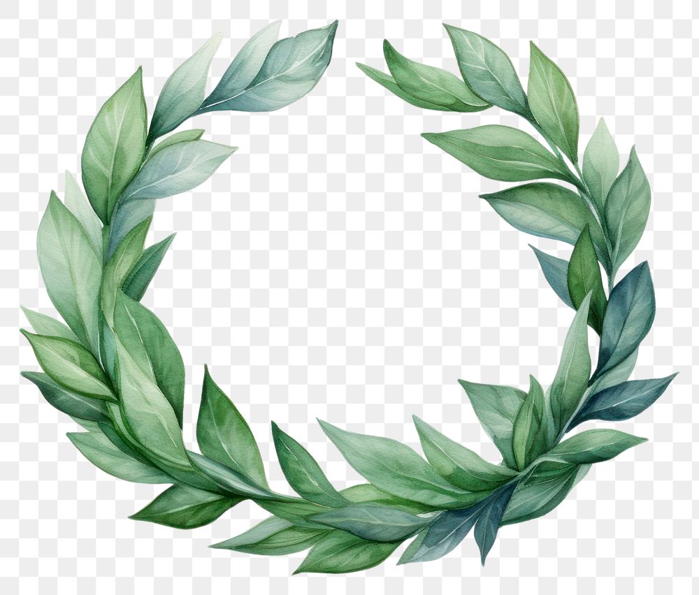 PNG Wreath plant green leaf transparent background